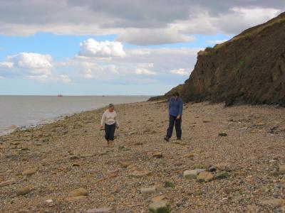 Beach near Warden Point