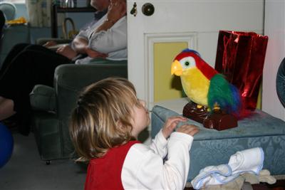 Sophie talking to the parrot